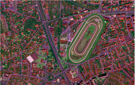 photo interprétation vectorisé